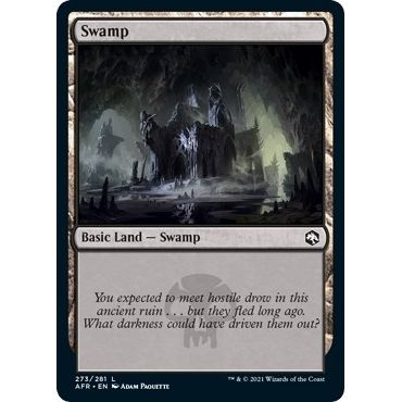 Image for Swamp (273) (273) (AFR) - Magic: The Gathering