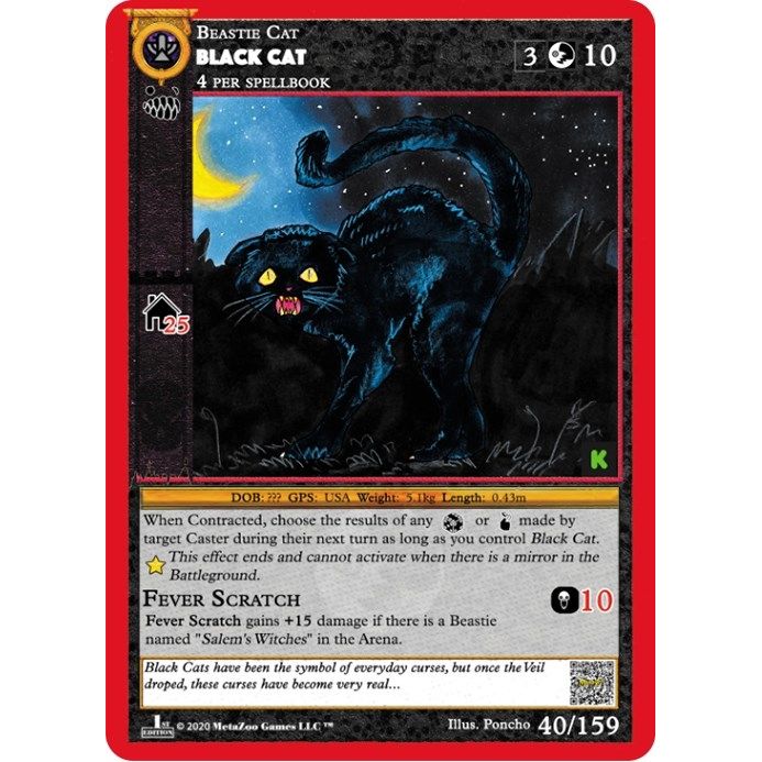 Image for Black Cat (40) (CNKE) - MetaZoo