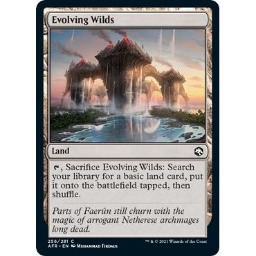 Image for Evolving Wilds (256) (AFR) - Magic: The Gathering
