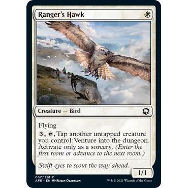 Image for Ranger's Hawk (37) (AFR) - Magic: The Gathering