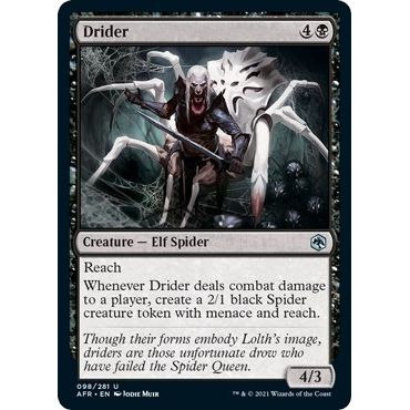 Image for Drider (98) (AFR) - Magic: The Gathering