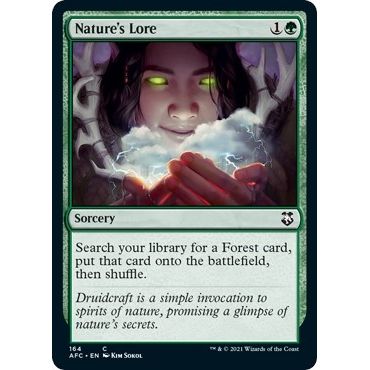 Image for Nature's Lore (164) (AFC) - Magic: The Gathering