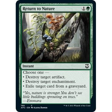 Image for Return to Nature (169) (AFC) - Magic: The Gathering