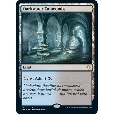 Image for Darkwater Catacombs (232) (AFC) - Magic: The Gathering