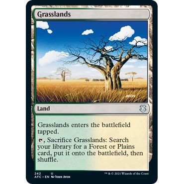 Image for Grasslands (242) (AFC) - Magic: The Gathering