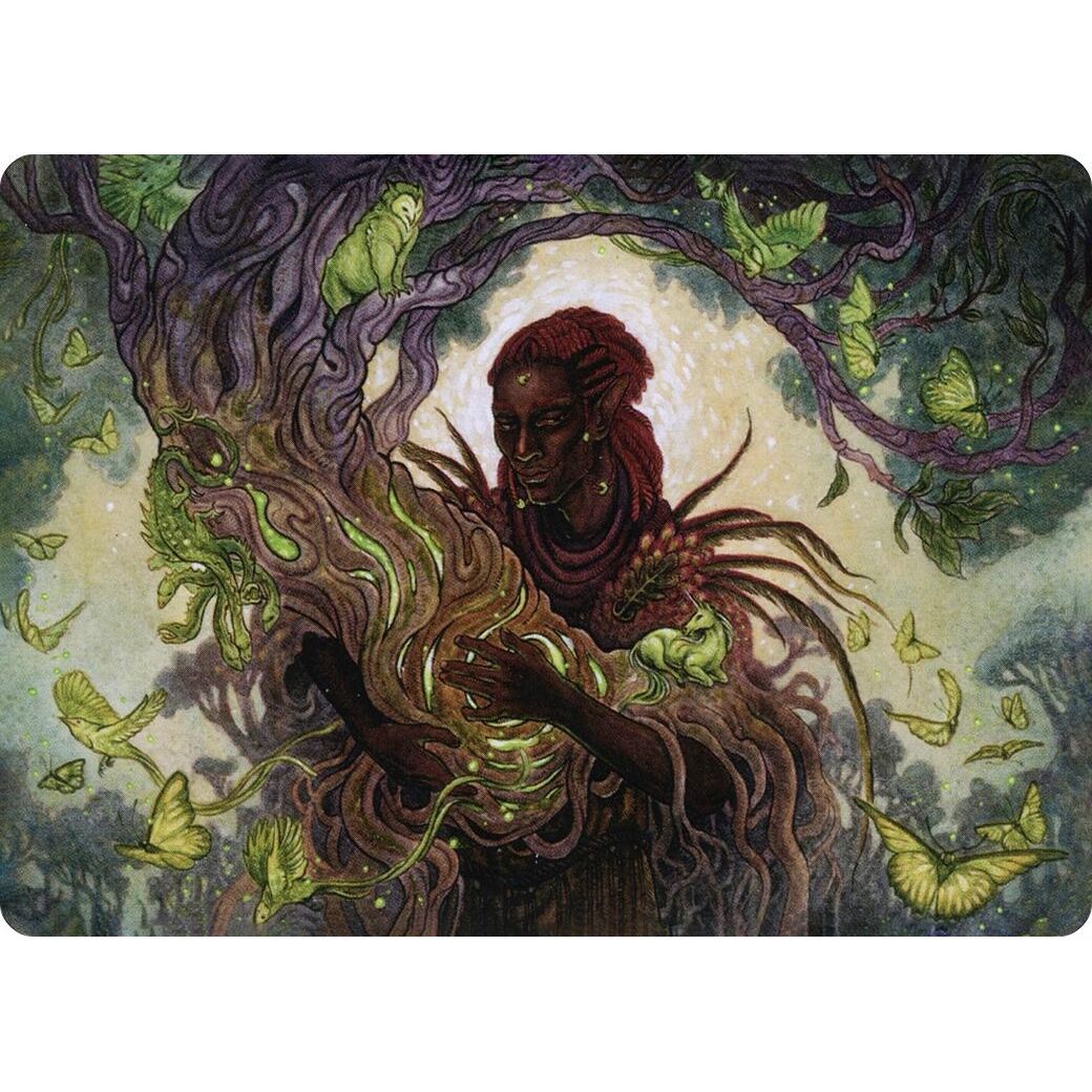 Image for Circle of Dreams Druid Art Card (66) (ASAFR) - Magic: The Gathering