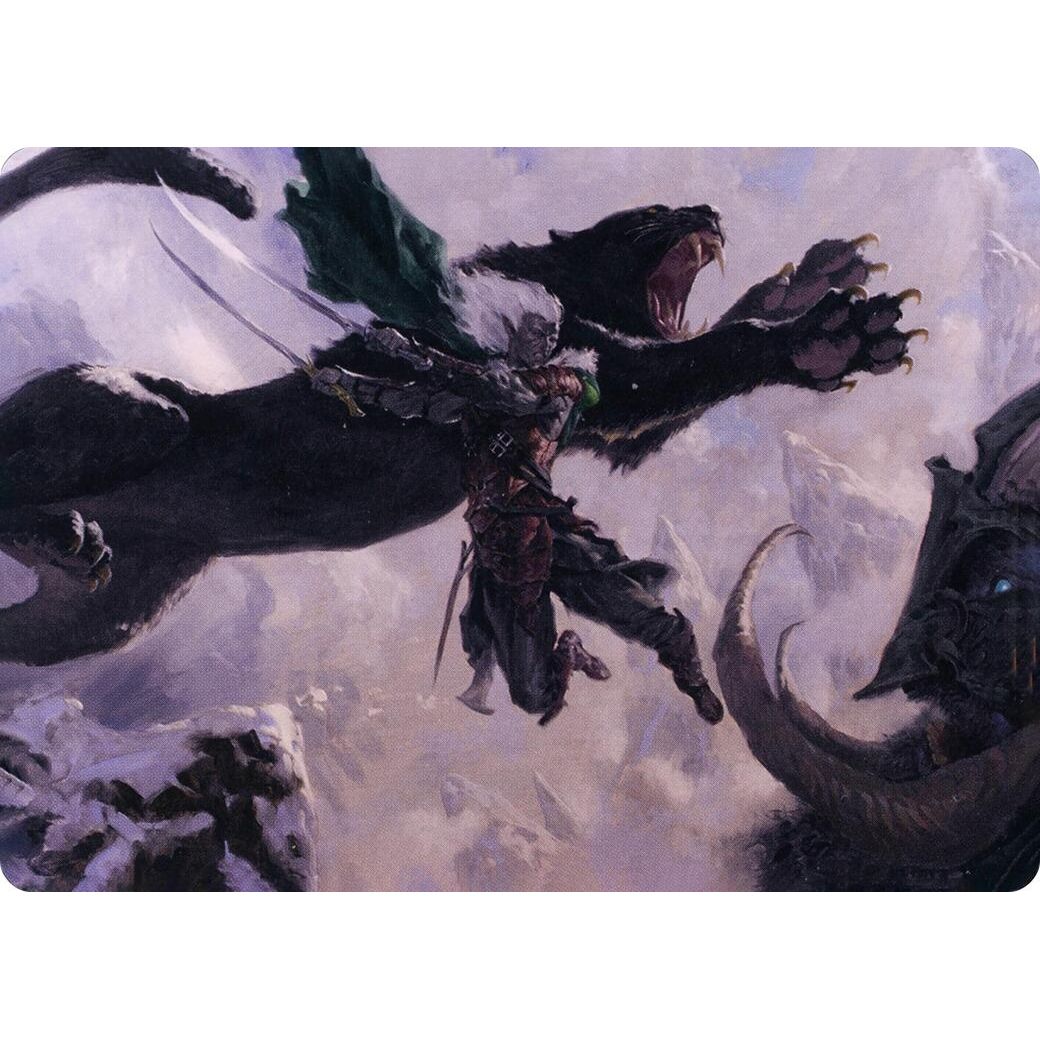 Image for Drizzt Do'Urden Art Card (52) (ASAFR) - Magic: The Gathering