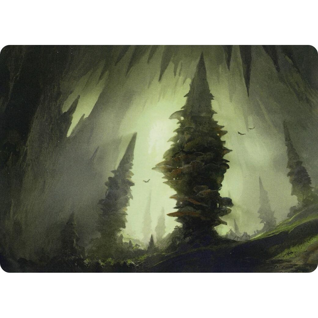 Image for Forest (55/81) Art Card (55) (ASAFR) - Magic: The Gathering