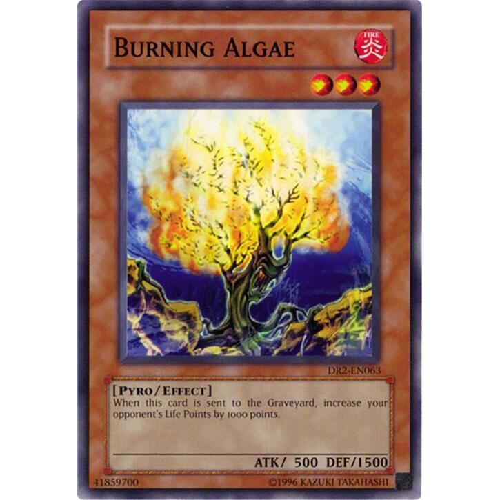 Image for Burning Algae (DR2-EN063) (DR2) - YuGiOh