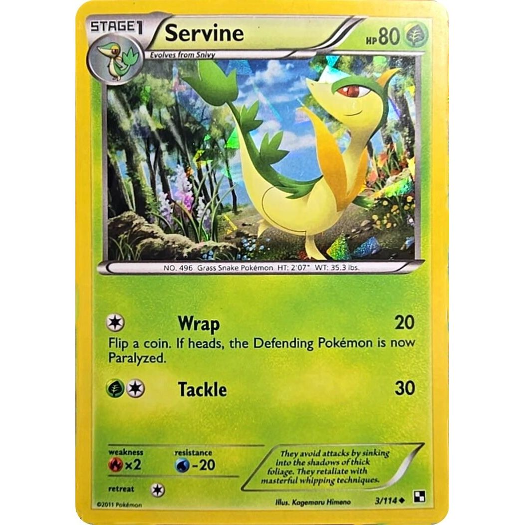 Image for Servine - 3/114 (Cracked Ice Holo) (003/114) (MCAP) - Pokemon