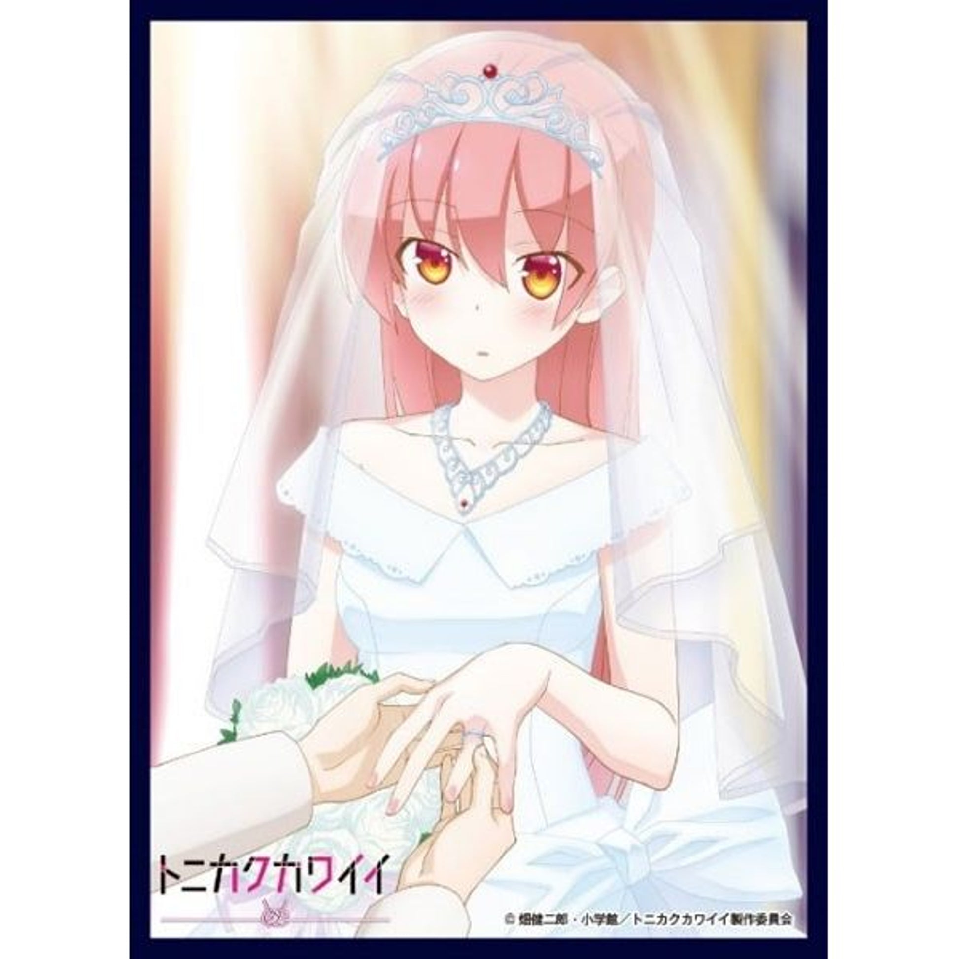Image for THE KLOCKWORX Sleeve Collection Vol.50: Fly Me To The Moon - Teaser Visual (65-Pack) - Card Sleeves