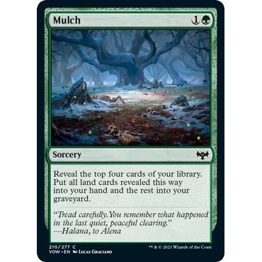 Image for Mulch (210) (VOW) - Magic: The Gathering