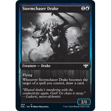 Image for Stormchaser Drake (349) (DBL) - Magic: The Gathering