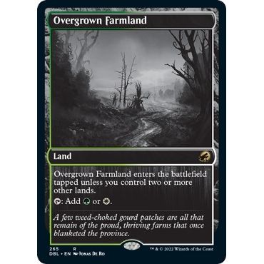 Image for Overgrown Farmland (265) (DBL) - Magic: The Gathering