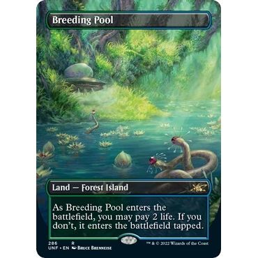 Image for Breeding Pool (Borderless) (286) (UNF) - Magic: The Gathering