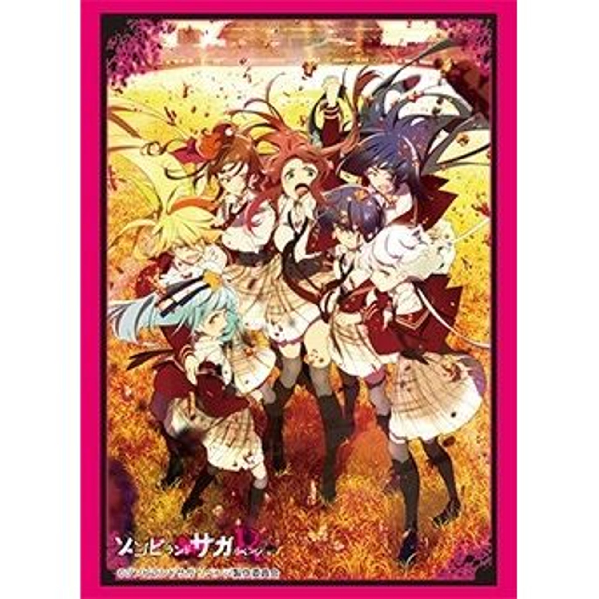 Image for Bushiroad Sleeve Collection HG Vol.3036: Zombie Land Saga (75-Pack) - Card Sleeves
