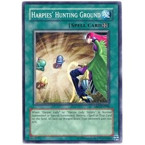 Image for Harpies' Hunting Ground (DR3-EN098) (DR3) - YuGiOh