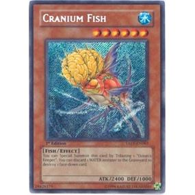 Image for Cranium Fish (TAEV-EN083) (TAEV) - YuGiOh