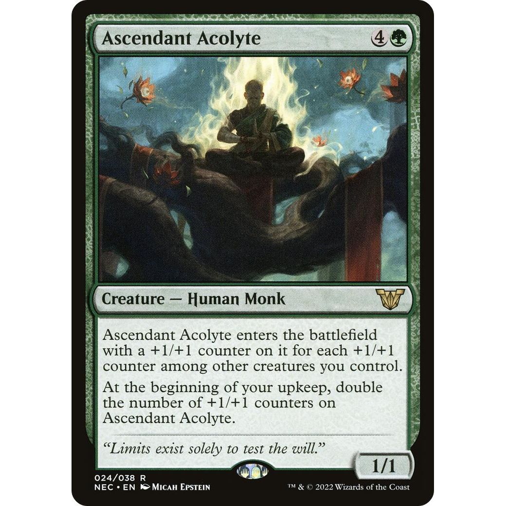 Image for Ascendant Acolyte (24) (NEC) - Magic: The Gathering