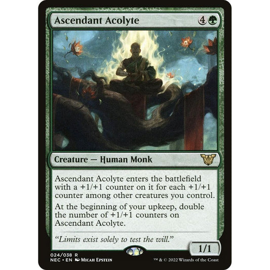 Image for Ascendant Acolyte (24) (NEC) - Magic: The Gathering