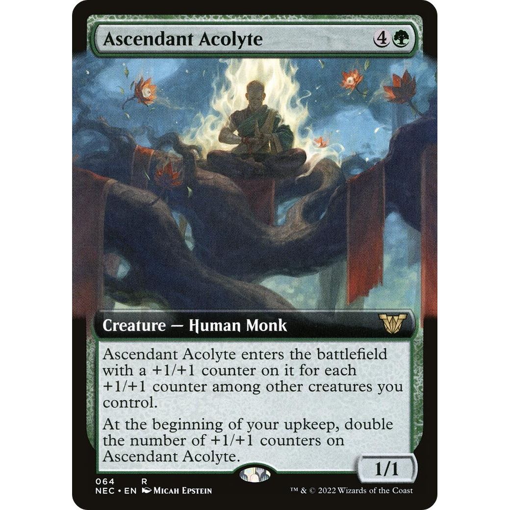 Image for Ascendant Acolyte (Extended Art) (64) (NEC) - Magic: The Gathering