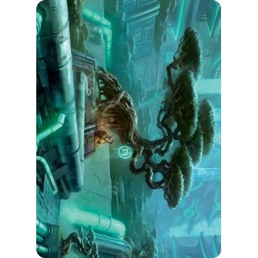 Image for Forest (292) Art Card (44) (ASNEO) - Magic: The Gathering