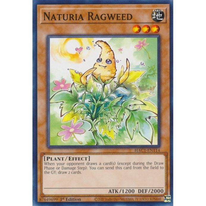 Image for Naturia Ragweed (HAC1-EN114) (HAC1) - YuGiOh