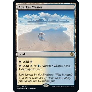Image for Adarkar Wastes (243) (DMU) - Magic: The Gathering
