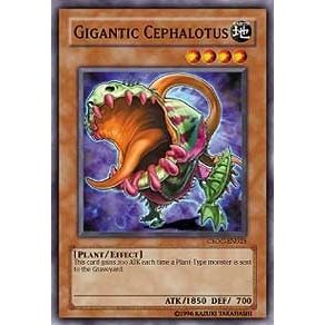 Image for Gigantic Cephalotus (CSOC-EN025) (CSOC) - YuGiOh