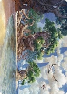 Image for Yavimaya Coast Art Card (61) - Magic: The Gathering