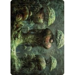 Image for Forest Art Card (65) (ASDMU) - Magic: The Gathering