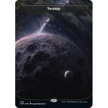 Image for Swamp (493) (Borderless) (Galaxy Foil) (493) (UNF) - Magic: The Gathering