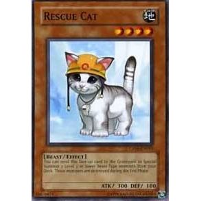 Image for Rescue Cat (CP05-EN015) (CP05) - YuGiOh