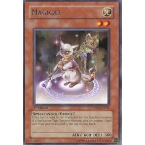 Image for Magicat (ANPR-EN031) (ANPR) - YuGiOh