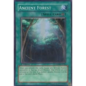 Image for Ancient Forest (ANPR-EN048) (ANPR) - YuGiOh