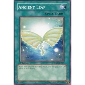 Image for Ancient Leaf (ANPR-EN061) (ANPR) - YuGiOh
