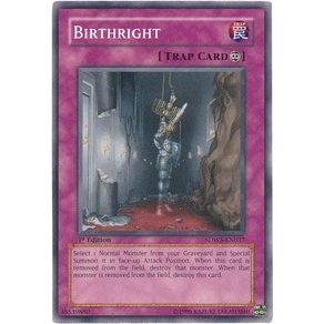 Image for Birthright (SDWS-EN037) (SDWS) - YuGiOh