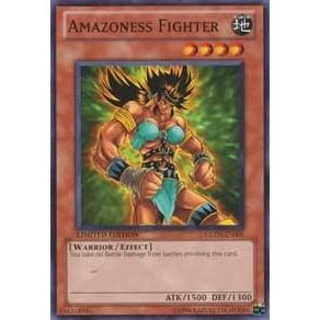 Image for Amazoness Fighter (GLD3-EN005) (GLD3) - YuGiOh