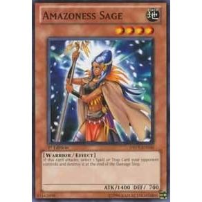 Image for Amazoness Sage (DREV-EN030) (DREV) - YuGiOh