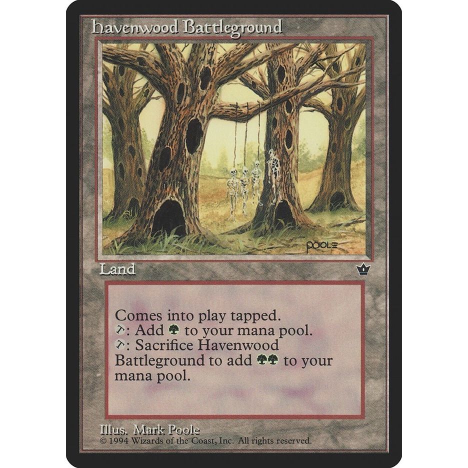 Image for Havenwood Battleground (FEM) - Magic: The Gathering