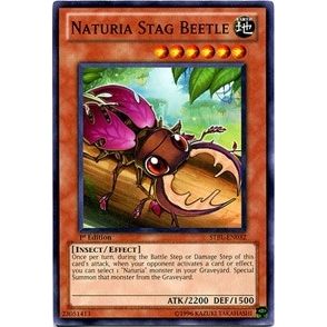 Image for Naturia Stag Beetle (STBL-EN032) (STBL) - YuGiOh