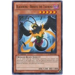 Image for Blackwing - Brisote the Tailwind (STOR-EN008) (STOR) - YuGiOh
