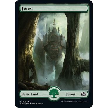 Image for Forest (286) - Full Art (286) (BRO) - Magic: The Gathering