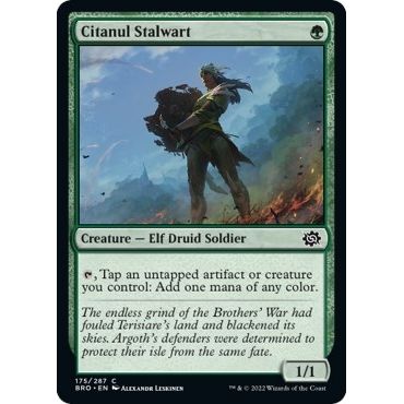 Image for Citanul Stalwart (175) (BRO) - Magic: The Gathering