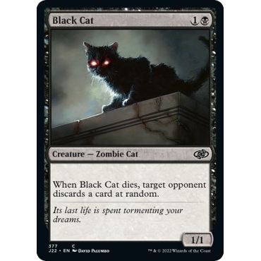 Image for Black Cat (377) (J22) - Magic: The Gathering