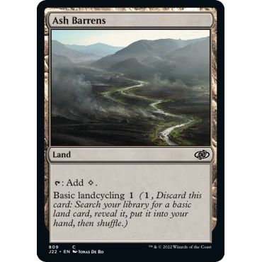 Image for Ash Barrens (809) (J22) - Magic: The Gathering