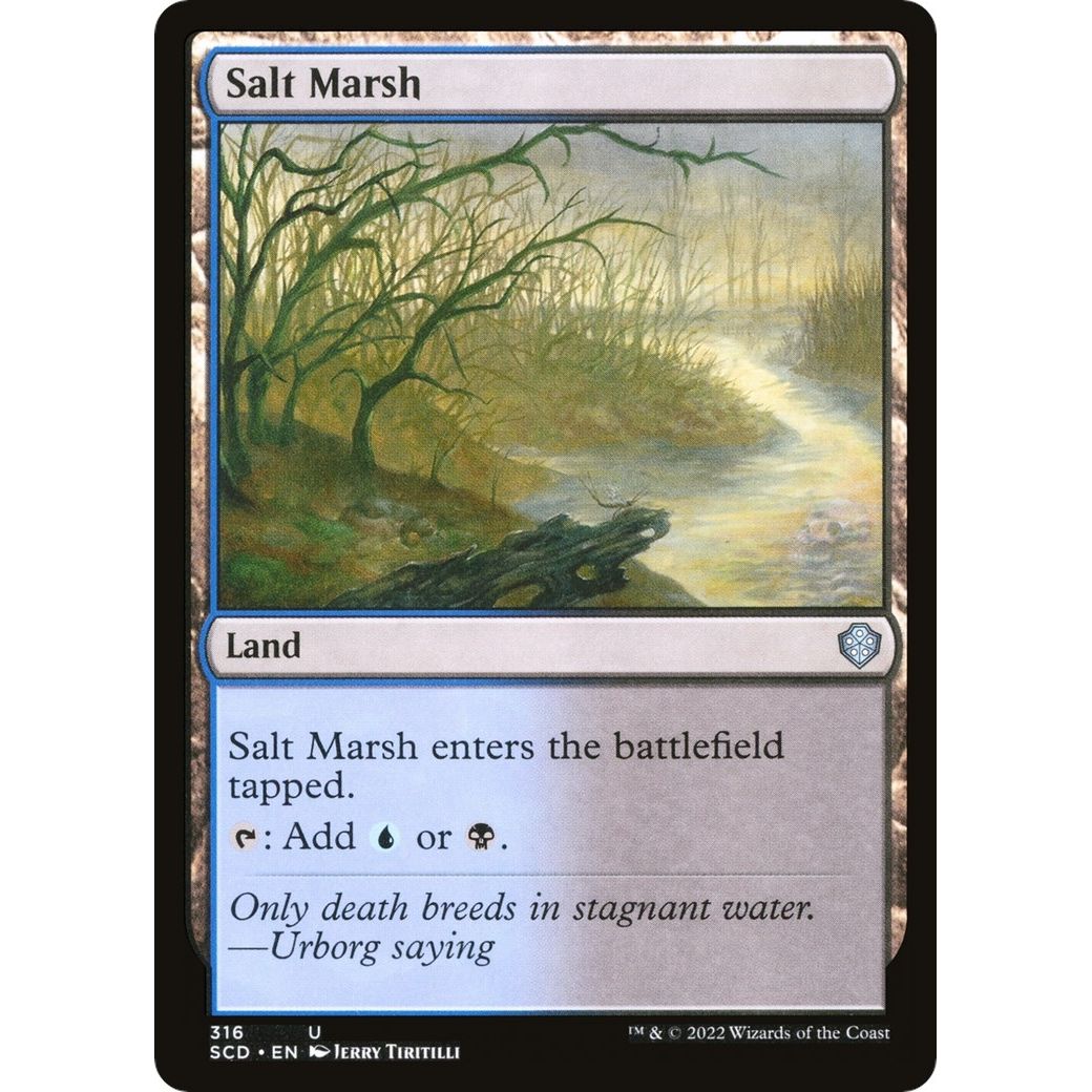Image for Salt Marsh (316) (SCD) - Magic: The Gathering