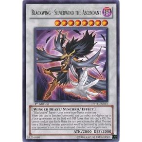 Image for Blackwing - Silverwind the Ascendant (DP11-EN015) (DP11) - YuGiOh