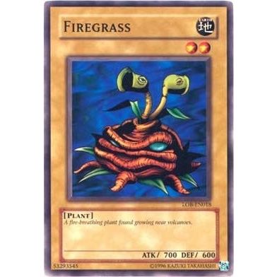 Image for Firegrass (LOB-EN018) (LOB-EN) - YuGiOh