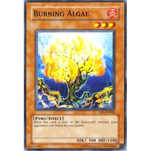 Image for Burning Algae (IOC-EN062) (IOC-EN) - YuGiOh